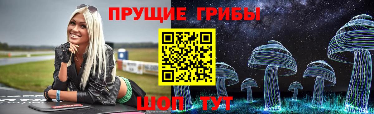 Псилоцибиновые грибы мухоморы  Псилоцибиновые грибы GOLDEN TEACHER  Вход с VPN  Будённовск 