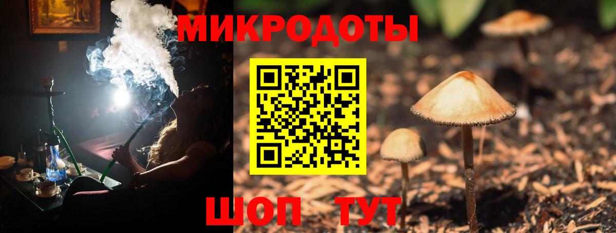 Псилоцибиновые грибы прущие грибы Будённовск